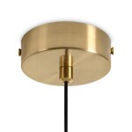 Фото 4 Подвесной светильник Freya FR5631PL-01BS1