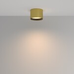 Фото 3 Потолочный светильник Technical C127CL-L7W3K-BS