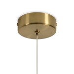 Фото 4 Подвесной светильник Freya FR5601PL-01TR