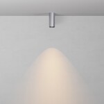 Фото 3 Потолочный светильник Technical C056CL-L12W2.7K-W-PT