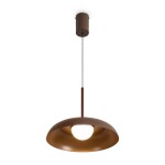 Фото 3 Подвесной светильник Freya FR5602PL-L5BR1