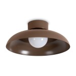 Фото 1 Потолочный светильник Freya FR5602CL-L10BR