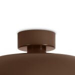 Фото 4 Потолочный светильник Freya FR5602CL-L10BR