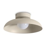 Фото 1 Потолочный светильник Freya FR5602CL-L10W