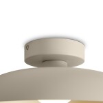 Фото 4 Потолочный светильник Freya FR5602CL-L10W