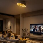 Фото 11 CL736152 FLOOM Бежевый+Золото Светильник Потолочный