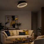 Фото 11 CL736151 FLOOM Черный+Золото Светильник Потолочный