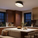 Фото 19 CL736151 FLOOM Черный+Золото Светильник Потолочный