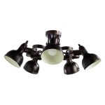 Фото Потолочная люстра Arte Lamp MARTIN A5216PL-5BR