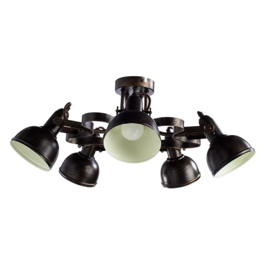 Фото Потолочная люстра Arte Lamp MARTIN A5216PL-5BR