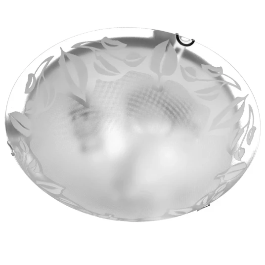 Фото Потолочный светильник Arte Lamp LEAVES A4020PL-3CC