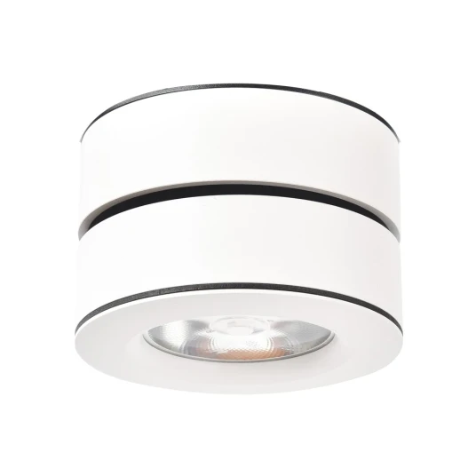 Фото Точечный накладной светильник Arte Lamp VELA A2511PL-1WH