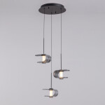 Фото 1 Подвесной светильник MD24020901-3A black/smoky