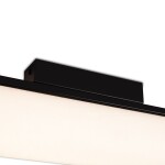 Фото 4 Потолочный светильник Freya FR5625CL-L20B