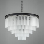 Фото 3 Люстра Odeon 10A black/frost