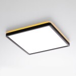 Фото 2 CL749K301 NORMA Черный с пультом и RGB