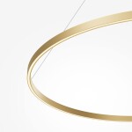 Фото 5 Подвесной светильник Maytoni MOD058PL-L65BSK