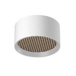 Фото 7 Потолочный светильник Technical C122CL-L7-4K-W