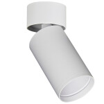 Фото ST171.502.01 Светильник потолочный Белый GU10 1*50W IP20 D52xH130 220V Без ламп Накладные светильники