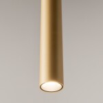 Фото 2 Подвесной светильник Maytoni MOD159PL-L6GK