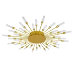 Фото Потолочная люстра Arte Lamp MAPLE A1276PL-36GO
