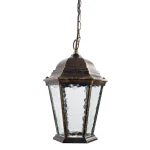 Фото Уличный подвесной светильник Arte Lamp GENOVA A1205SO-1BN