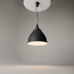 Фото 1 Подвесной светильник Maytoni P535PL-01B