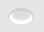 Фото Потолочный светильник Arte Lamp MENKIB A2694PL-45WH