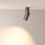 Фото 3 Потолочный светильник Technical C027CL-L10B