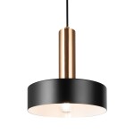 Фото 3 Подвесной светильник Freya FR4008PL-01BBS