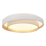 Фото 2 SLE6009-502-01 Светильник потолочный Белый/Белый LED 1*50W 3000K/4000K/6000K CROSBY