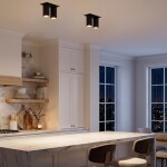 Фото 1 CL512D21 AXEL Черный Св-к Спот Встр. 2-ламп.