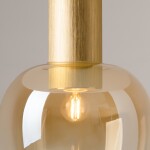 Фото 1 Потолочный светильник Maytoni MOD414CL-01G