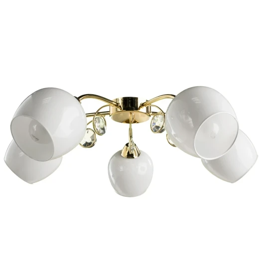 Фото Потолочная люстра Arte Lamp MILLO A9549PL-5GO