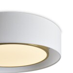 Фото 3 Потолочный светильник Freya FR6170CL-L52BS