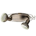 Фото Спот Arte Lamp FOCUS A5219AP-2BR