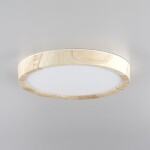 Фото 4 CL738122N Бейсик Клен Св-к Накл. LED 12W*4000K