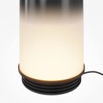 Фото 4 Настольный светильник Maytoni MOD488TL-L8B3K