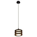 Фото Подвесной светильник Arte Lamp RING A1320SP-1BK