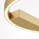 Фото 3 Потолочный светильник Maytoni MOD058CL-L25BSK