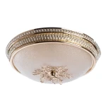 Фото Потолочный светильник Arte Lamp VASSOIO A9205PL-3GO