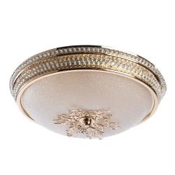 Фото Потолочный светильник Arte Lamp VASSOIO A9205PL-3GO