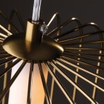 Фото 5 Подвесной светильник Freya FR6131PL-L13BS