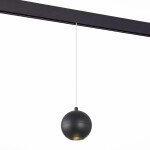 Фото 2 ST354.433.12 Магнитный трековый светильник подвесной Черный LED 1*12W 3000K 750Lm Ra>80 36° IP20 D10 SKYLINE 48