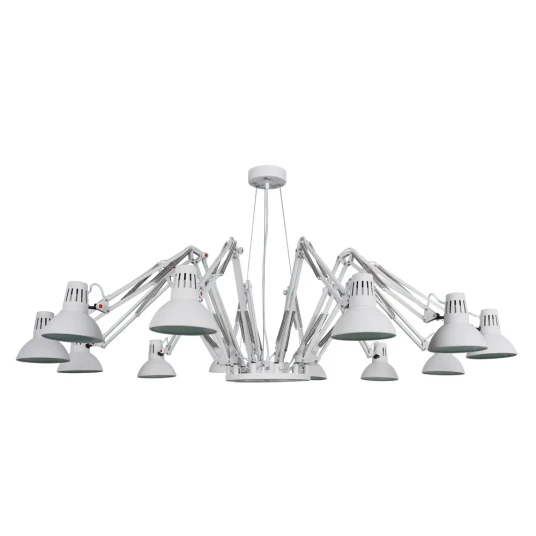 Фото Подвесная люстра Arte Lamp RAGNO A2043SP-12WH
