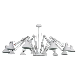Фото Подвесная люстра Arte Lamp RAGNO A2043SP-12WH