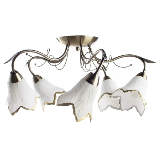 Фото Потолочная люстра Arte Lamp BARBARA A6066PL-5AB