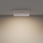 Фото 3 Потолочный светильник Technical C133CL-12W3K-W