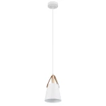 Фото Подвесной светильник Arte Lamp THOMAS A7032SP-1WH