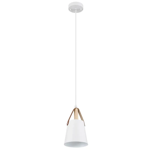Фото Подвесной светильник Arte Lamp THOMAS A7032SP-1WH